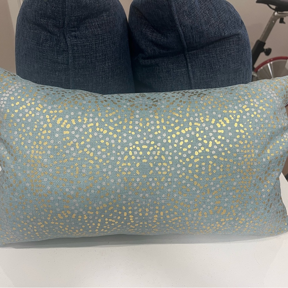 Chic Blue and Gold Accent Pillow